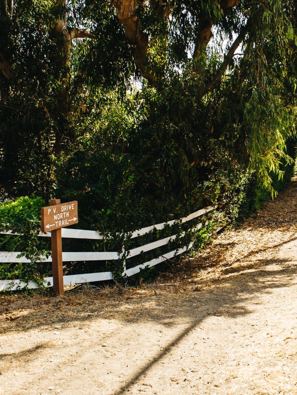 trail
